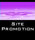 PCS Website Promotion